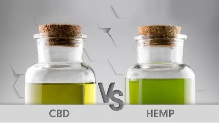 hemp-vs-cbd-oil