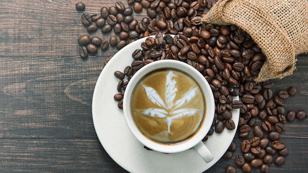 cannabis coffee