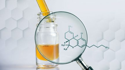 Does CBD Oil Have THC In It? - Image